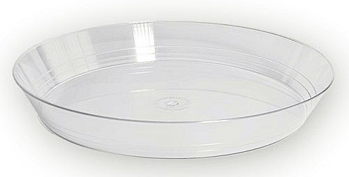 Vassoio bavarese 22cm 10pz 5743 gp plast confezione 10pezzi - immagine 1