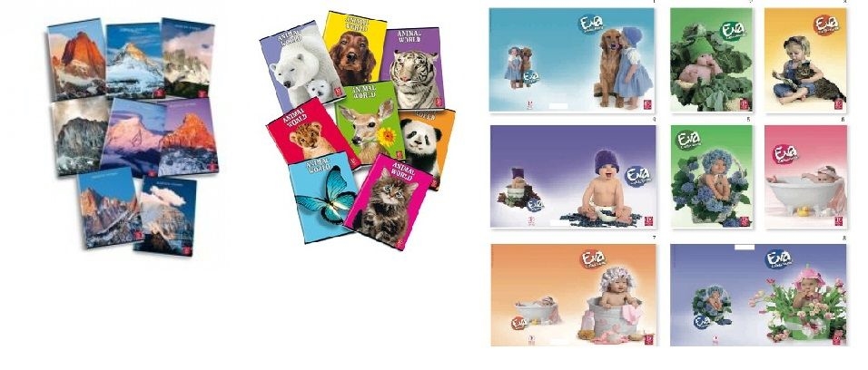 Quadernone maxi rigo b 42 fogli pigna acquisto minimo conf. 10 pezzi